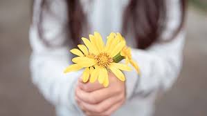 Rendre hommage dans la simplicité, c&rsquo;est aussi notre métier dans la région de Haguenau